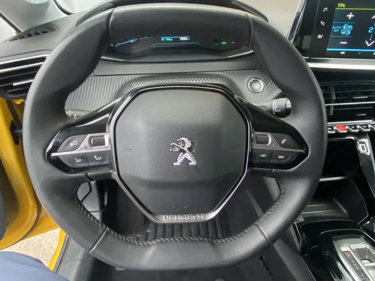 EV Active Pack 50 kWh | AUTOMAAT | CLIMATE CONTROL | CARPLAY ANDROID AUTO | SOH 99%  | PDC | LMV | 19 DKM |