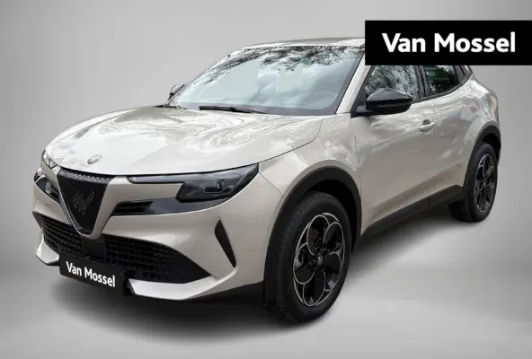 Elettrica 54 kWh | Apple Carplay/Android Auto | Climate Control | Parkeersensoren | Cruise Control | Lichtmetalen Velgen 18" |
