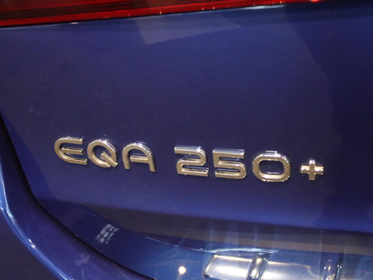250+ AMG Line 71 kWh Panorama dak