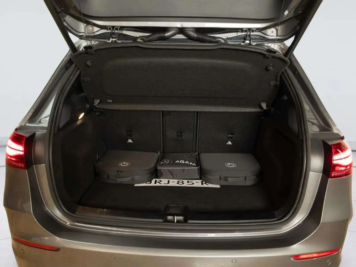 250 e Business Solution AMG Premium PLUS | Panorama dak | Trekhaak