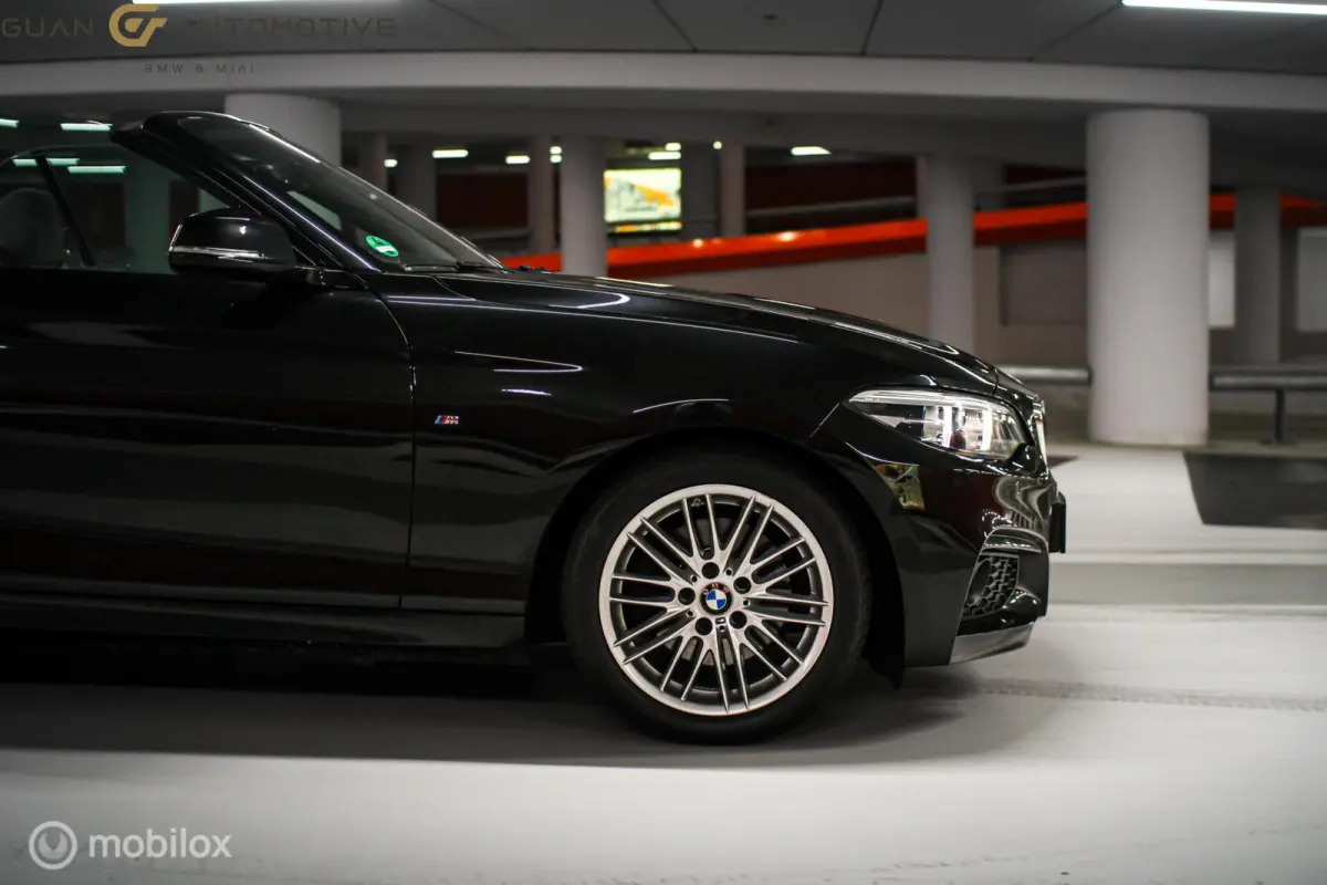 220i | M sport | Stoelverw | Alcantara |