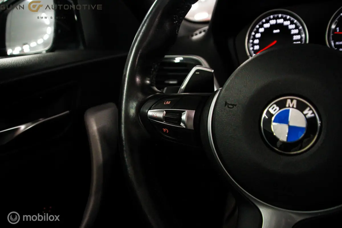 220i | M sport | Stoelverw | Alcantara |