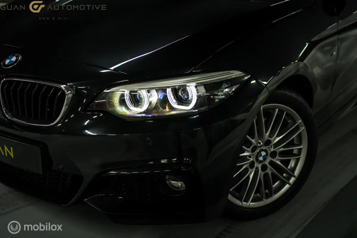 220i | M sport | Stoelverw | Alcantara |