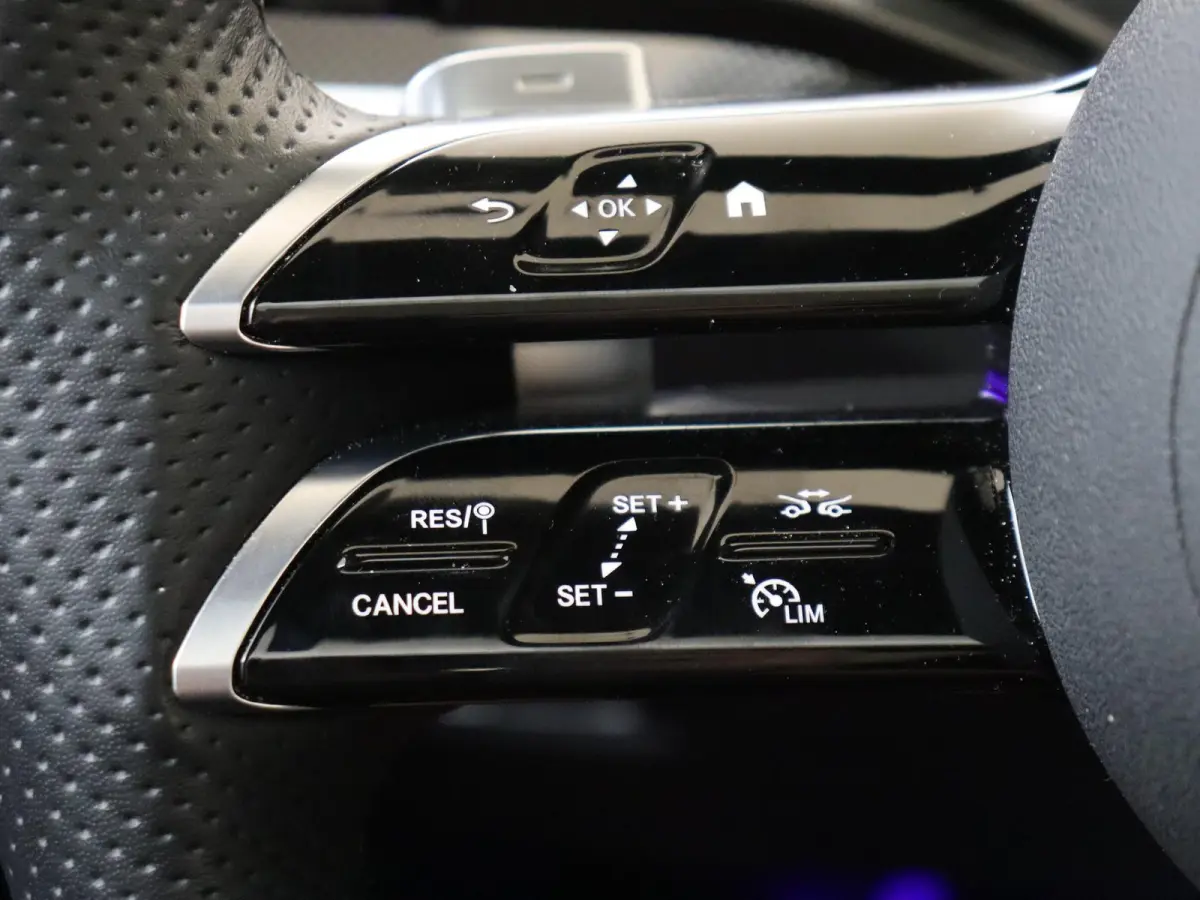 300 e Business Solution AMG Premium Plus /Panoramadak /Burmester /HUD /Memory
