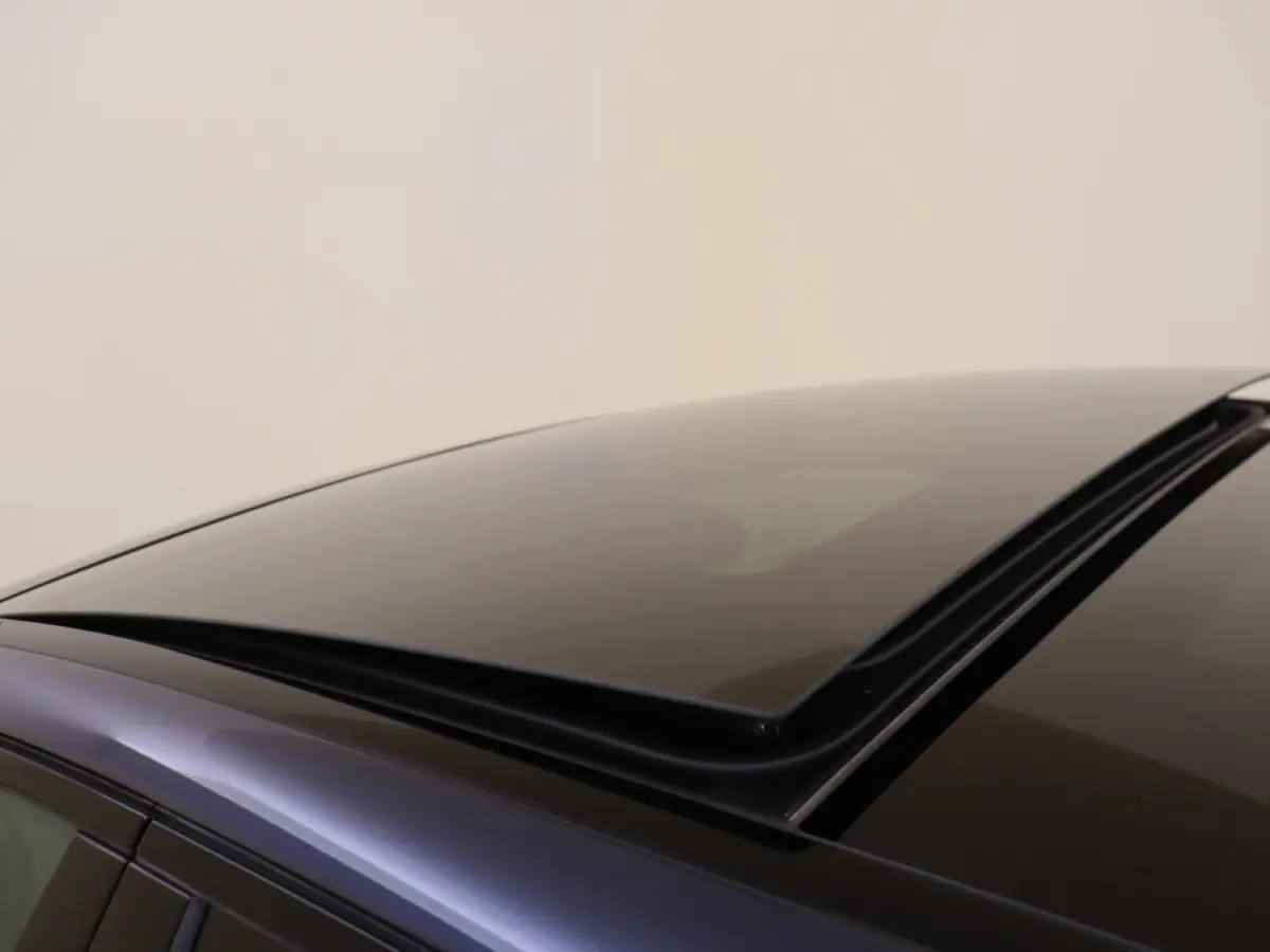 300 e Business Solution AMG Premium Plus /Panoramadak /Burmester /HUD /Memory