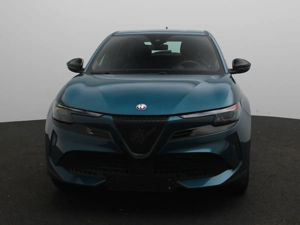 Elettrica 54 kWh | Apple Carplay/Android Auto | Cruise Control | Climate Control | Lichtmetalen Velgen |