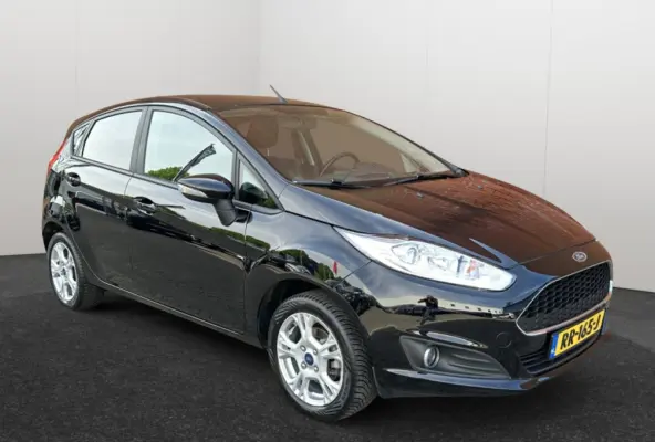 1.0 EcoBoost 100PK Titanium Clima Velgen 5 deurs