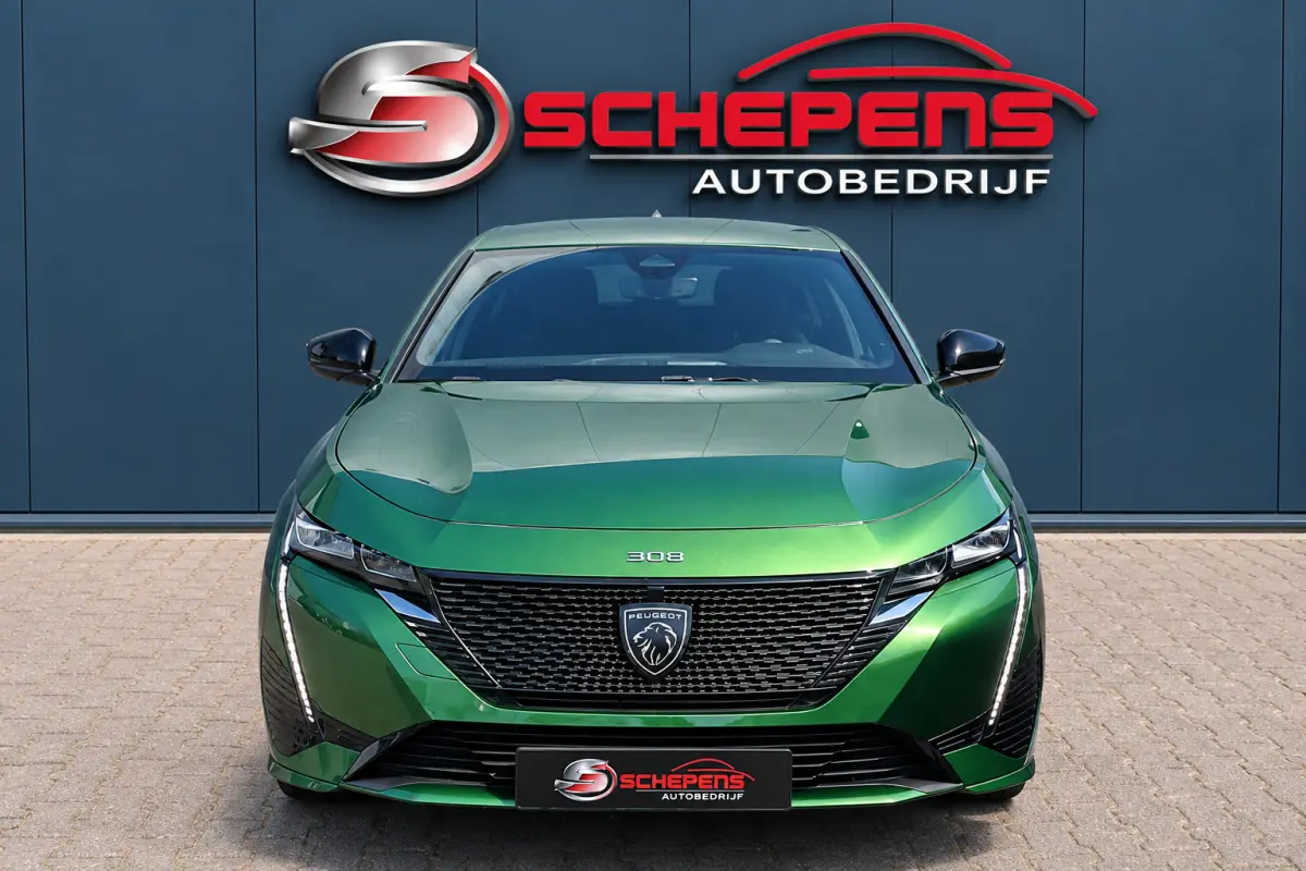 1.6 Plug-in Hybrid 180 GT | Camera | Stuurverw. | Automaat