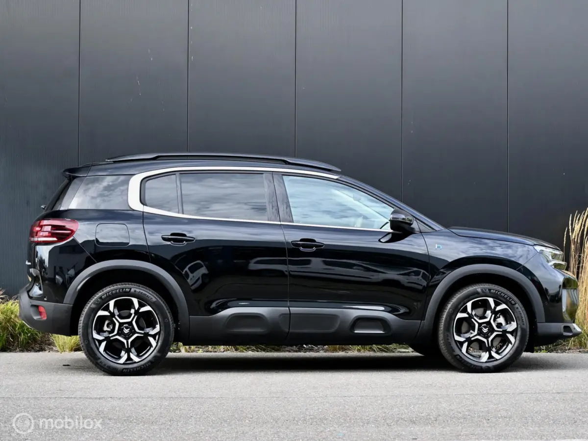 1.6 Plug-in Hybrid 225pk Max