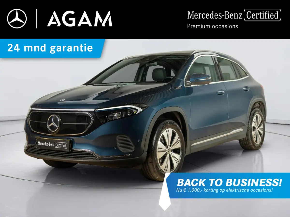 250 Business Solution Luxury 67 kWh | Panorama dak