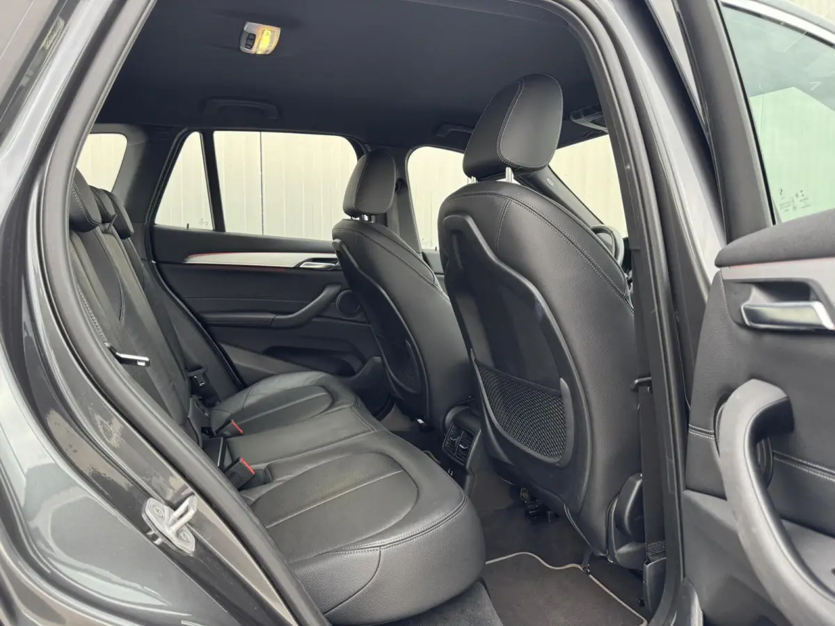 sDrive20i Business Edition Plus xLine|NL-Auto|LED