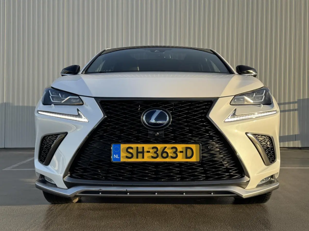 300h AWD F F SPORT Line|NL-Auto|Trekhaak