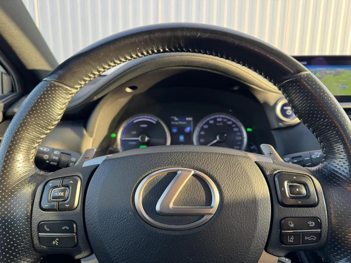300h AWD F F SPORT Line|NL-Auto|Trekhaak