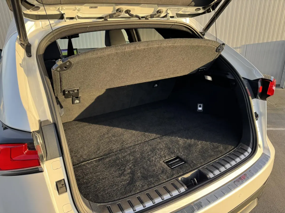 300h AWD F F SPORT Line|NL-Auto|Trekhaak