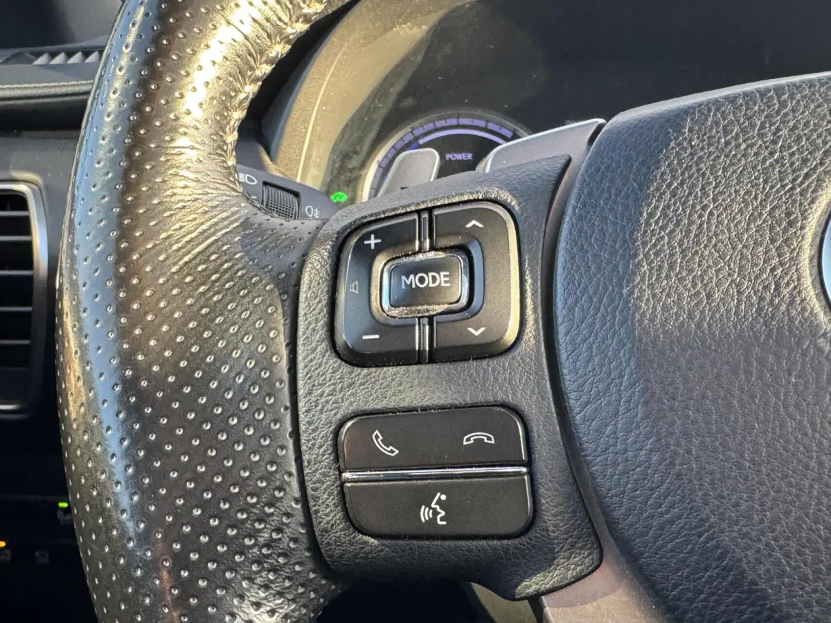 300h AWD F F SPORT Line|NL-Auto|Trekhaak
