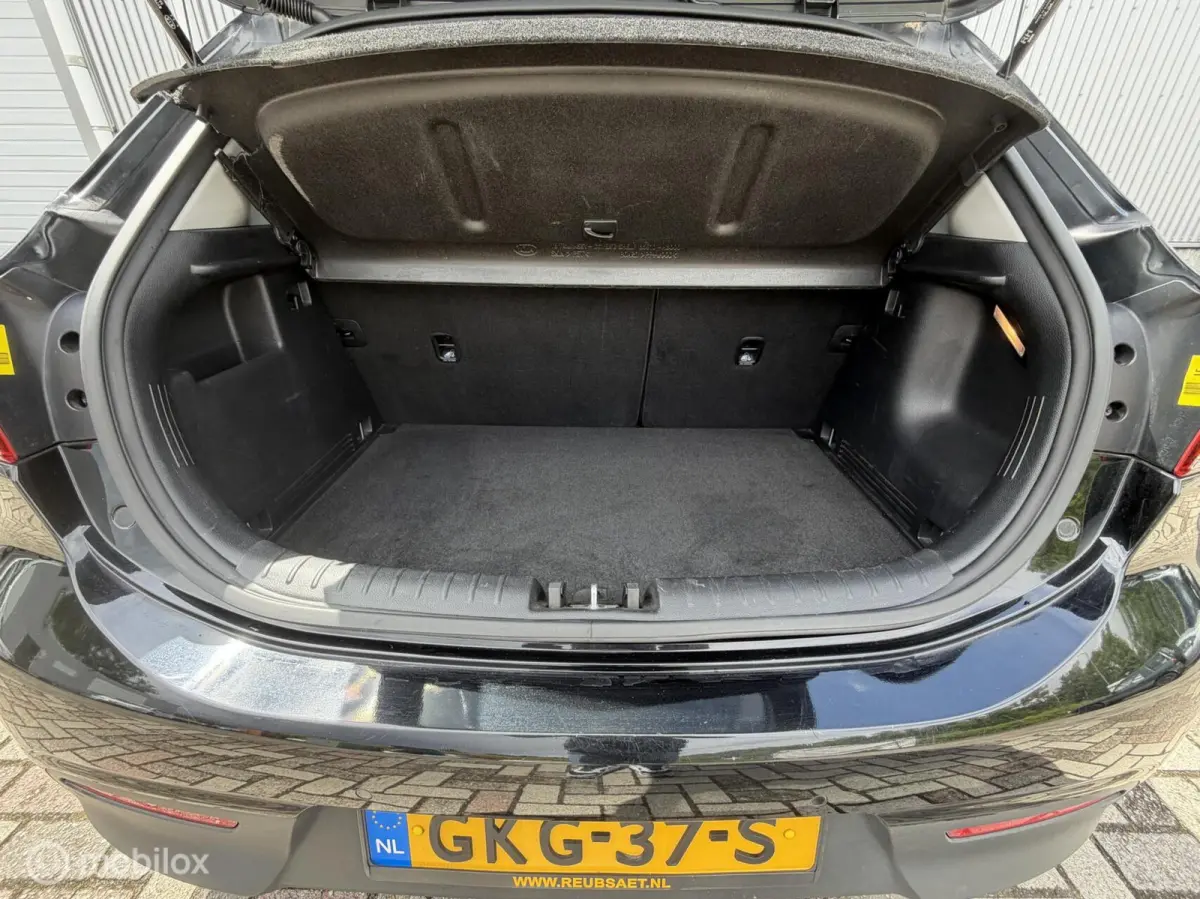 1.0 TGDI 120PK Platinum / Schuifdak / Leer / Carplay / Stoel+Stuurverwarming / Camera / DAB+ / NAP