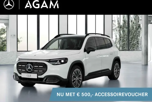 electric 250+ Business Solution Luxury 85.5 kWh