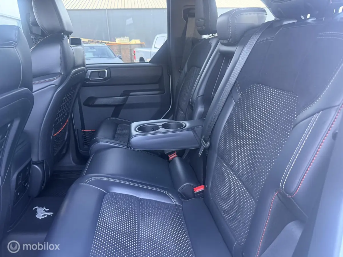 USA Raptor