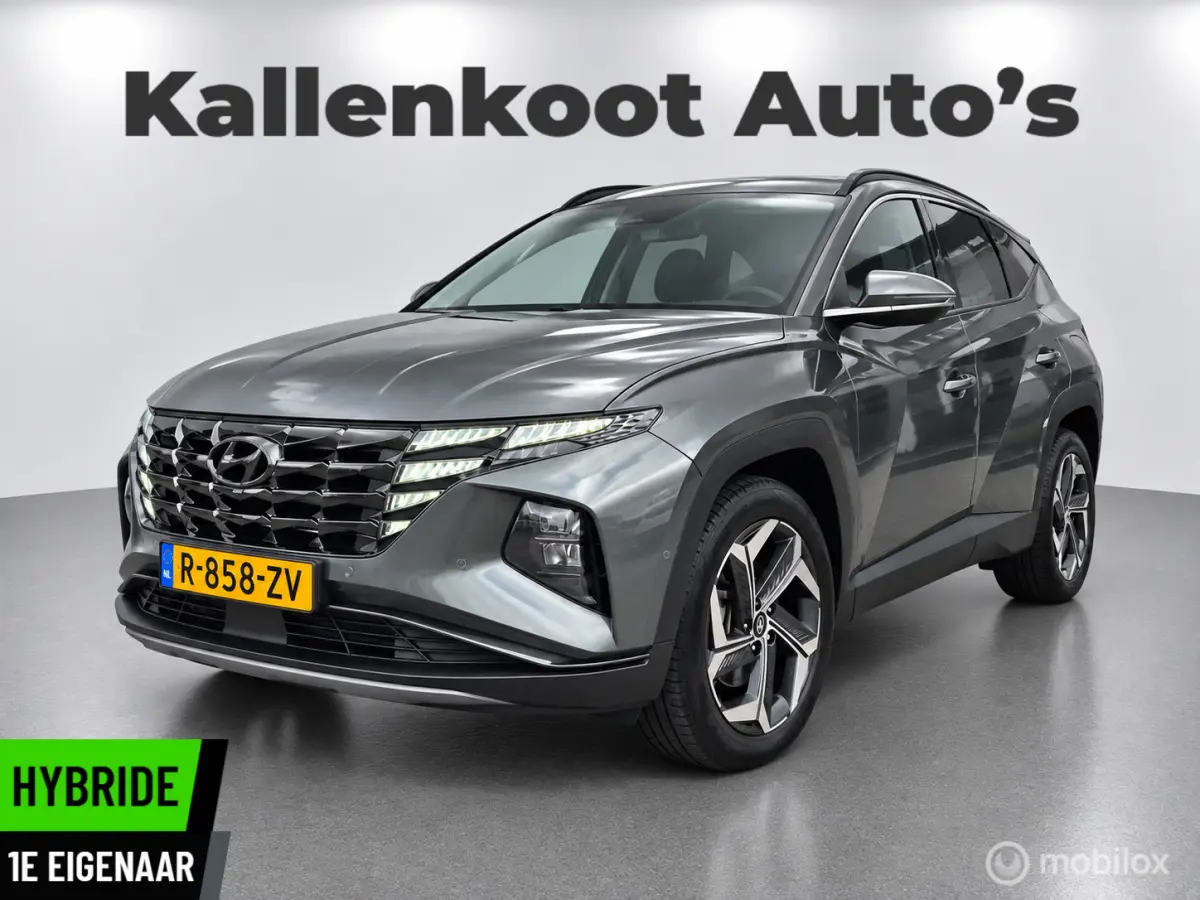 1.6 T-GDI HEV Premium, Leer, 360 Camera, NAP!