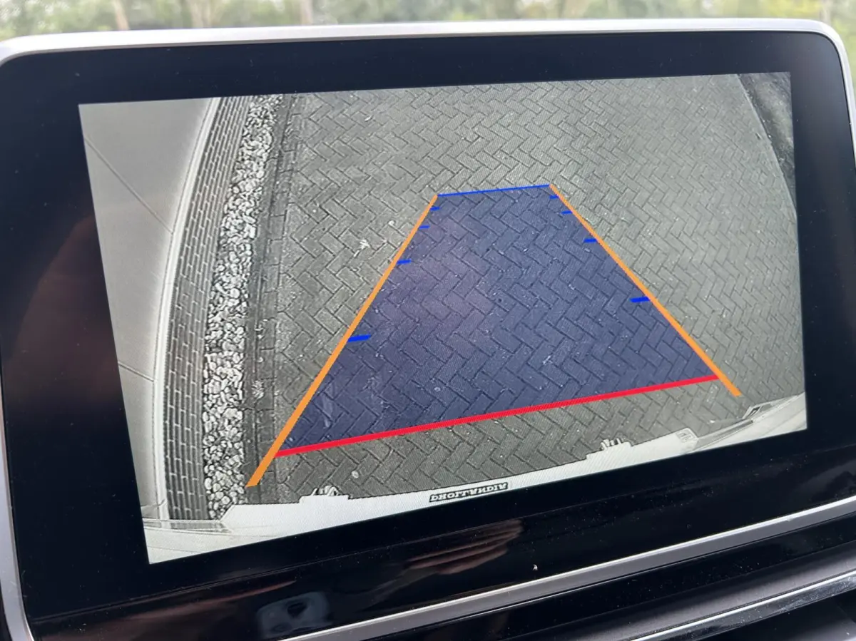 L4 65 kWh DHOLLANDIA LAADKLEP I ORG.NL + NAP I DIRECT RIJDEN | SOH 97%