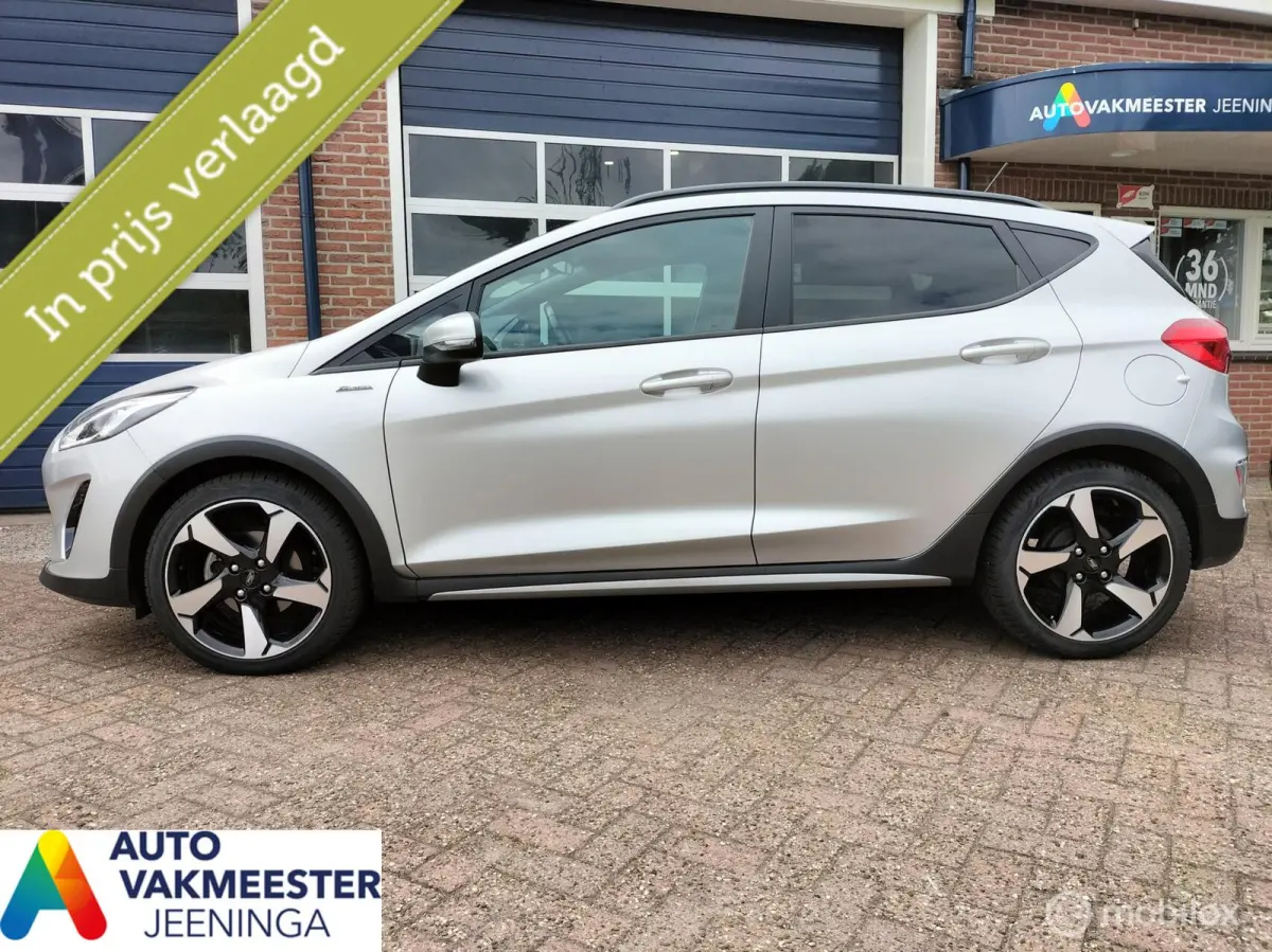 1.0 EcoBoost Active 500 euro KORTING!