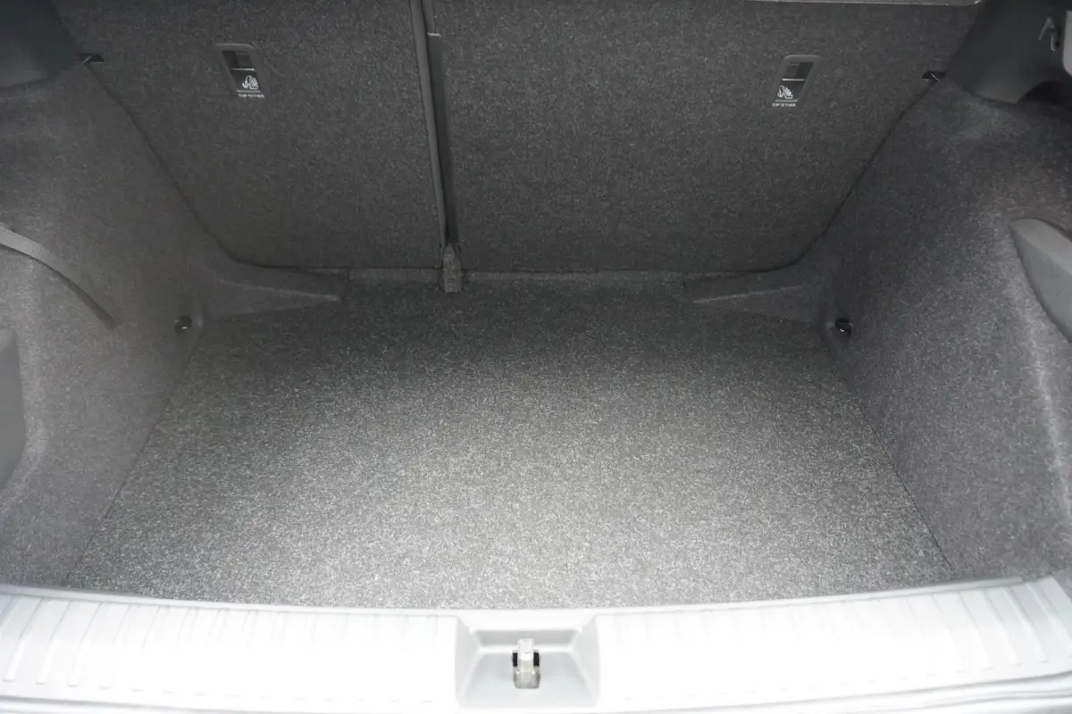 1.0 TSI 115pk DSG Monte Carlo | Winter Premium Pakket & Charging | Trekhaak
