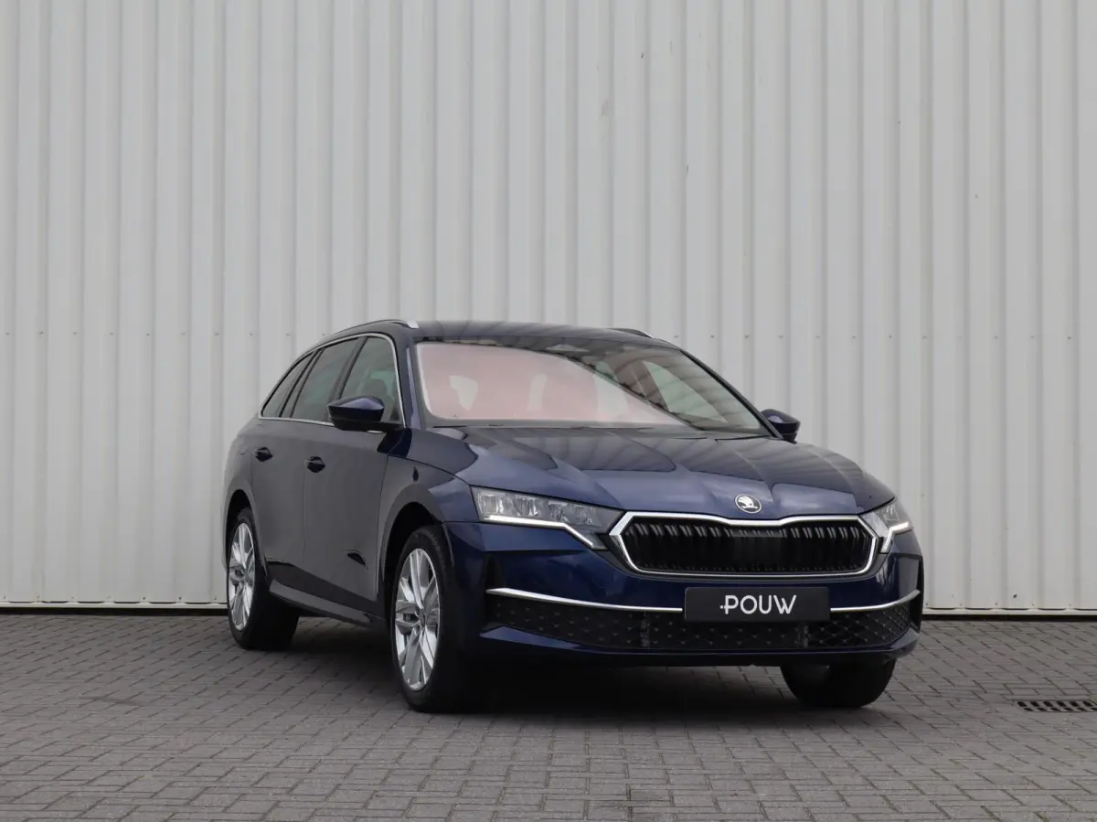 1.5 TSI 150pk MHEV Business Edition Plus | 18" Velgen | Winterpakket