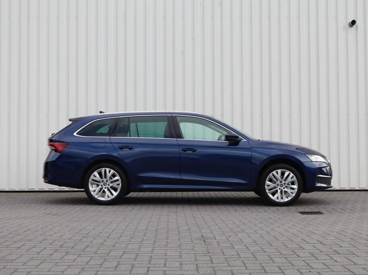 1.5 TSI 150pk MHEV Business Edition Plus | 18" Velgen | Winterpakket