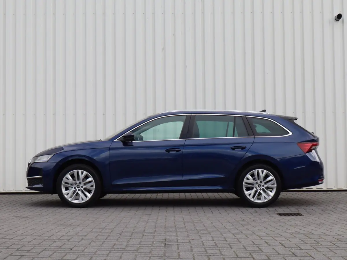 1.5 TSI 150pk MHEV Business Edition Plus | 18" Velgen | Winterpakket