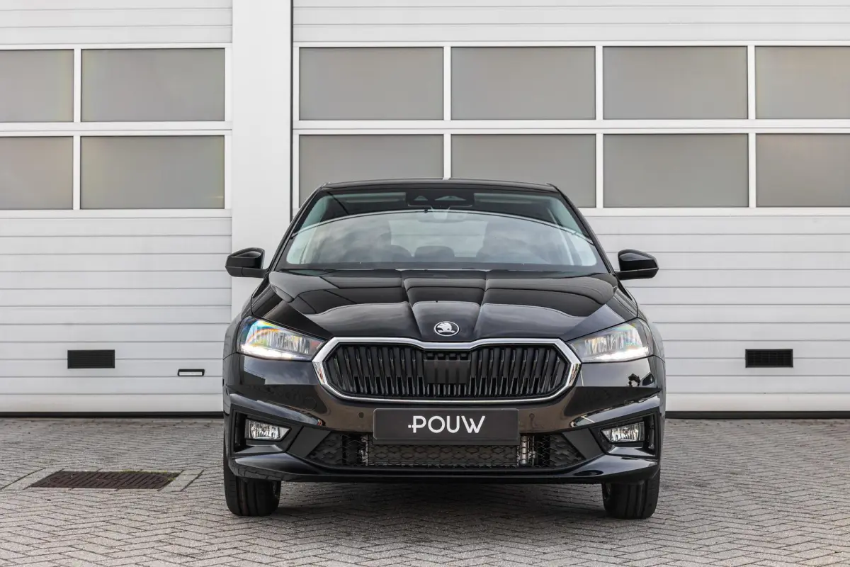 1.0 TSI 95pk Business Edition | Stoelverwarming