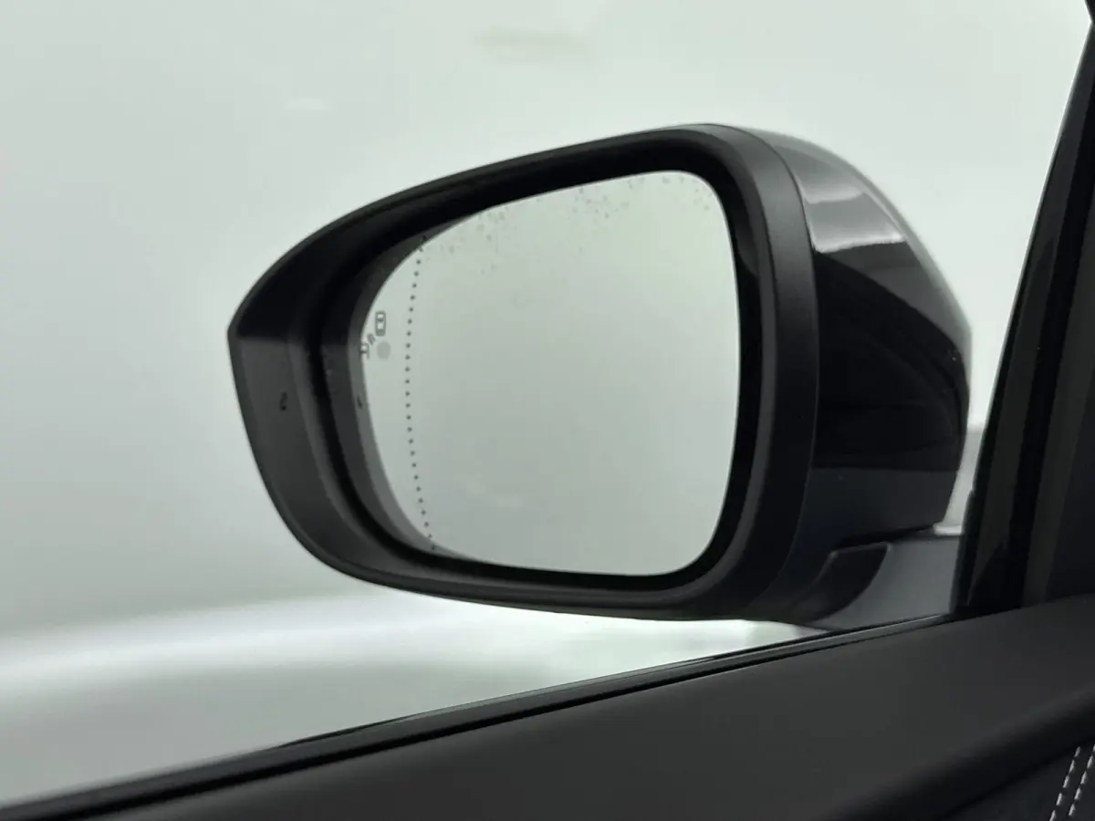 GT 89kWh Direct rijden | GRIS TONNERRE MAT | DEVIALET AUDIO | 21" SNOWFLAKE NOIR | PACK DRIVING | REMKLAUWEN BLEU ALPINE |