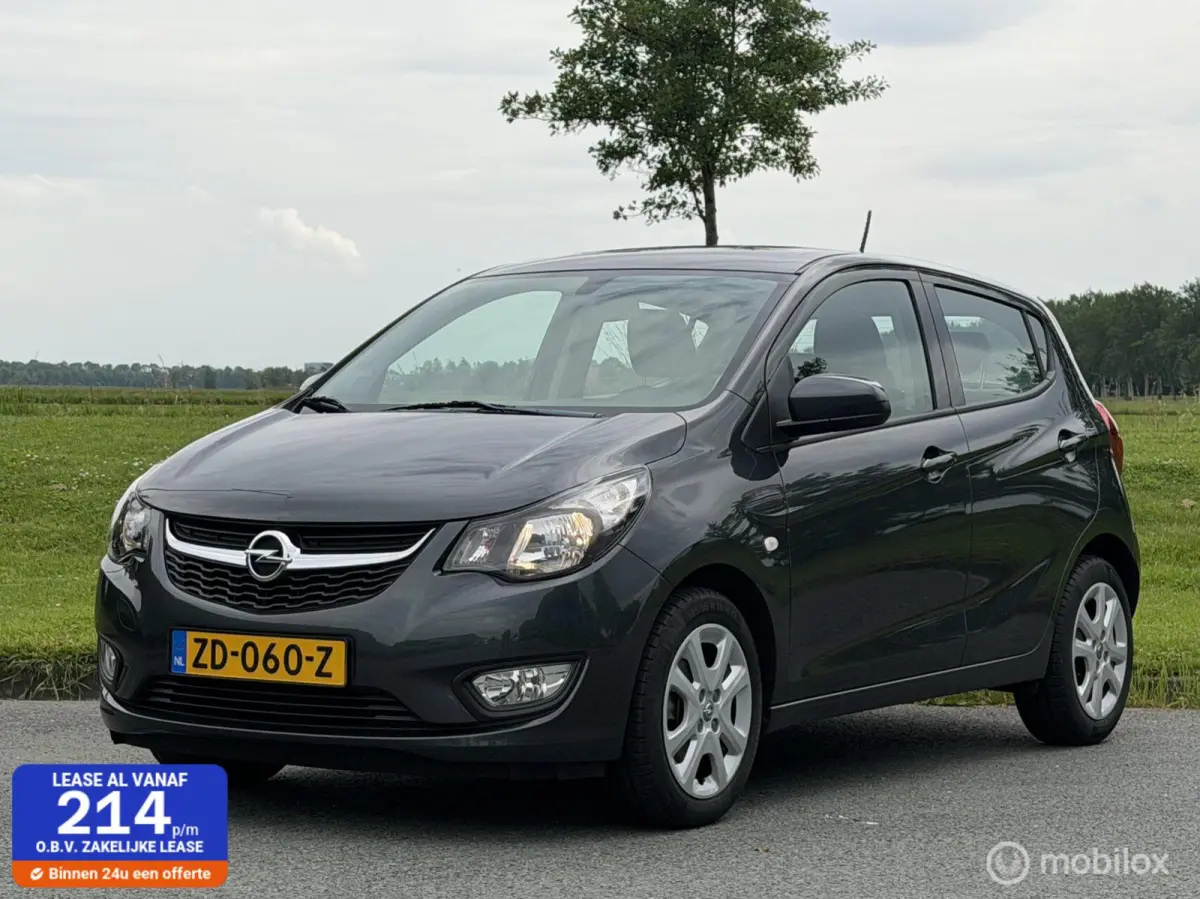 1.0 Automaat | 1e eigenaar | 7.000 km | NAP |