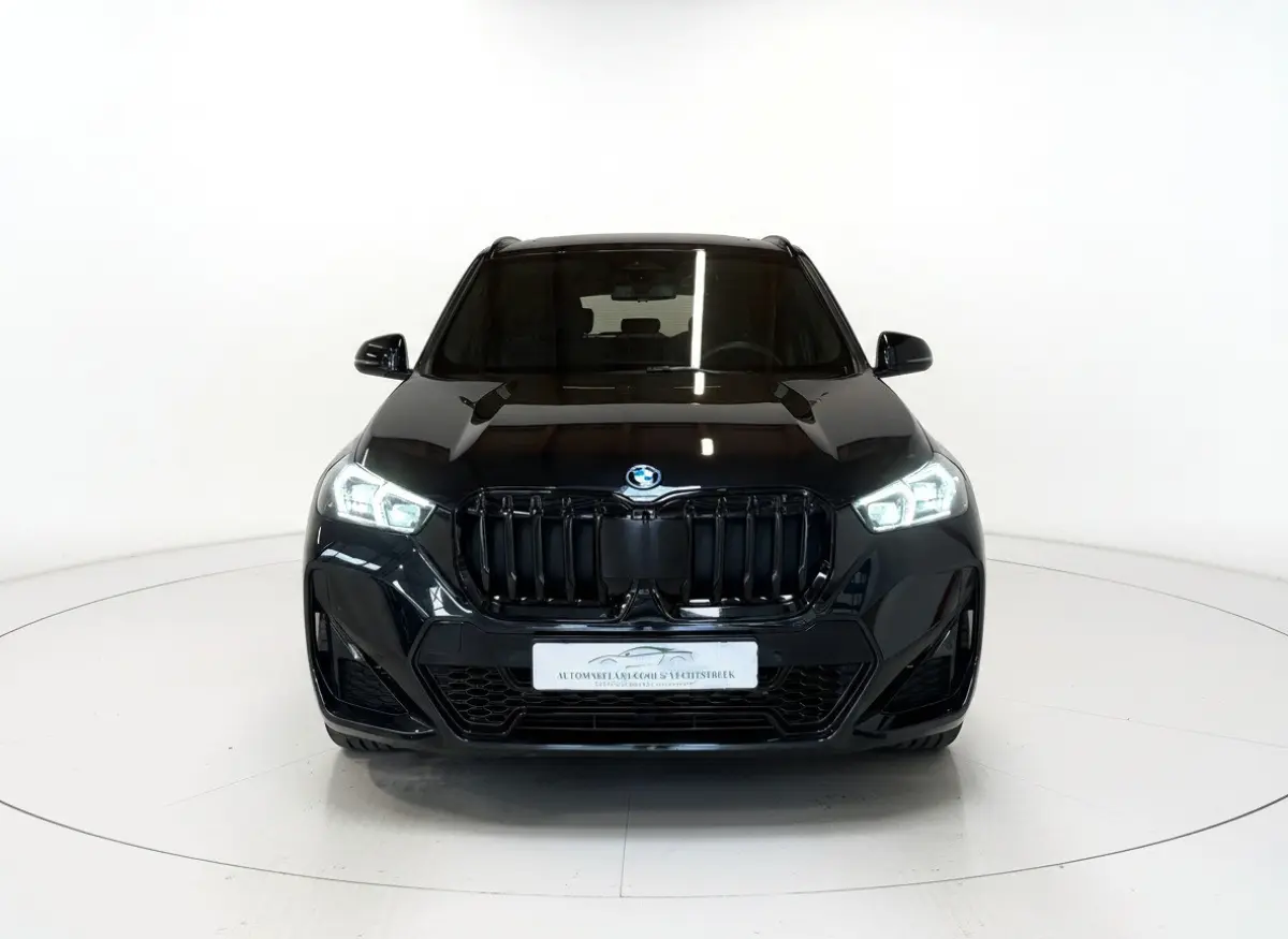 XDrive25e - Panorama - Trekhaak - Memory