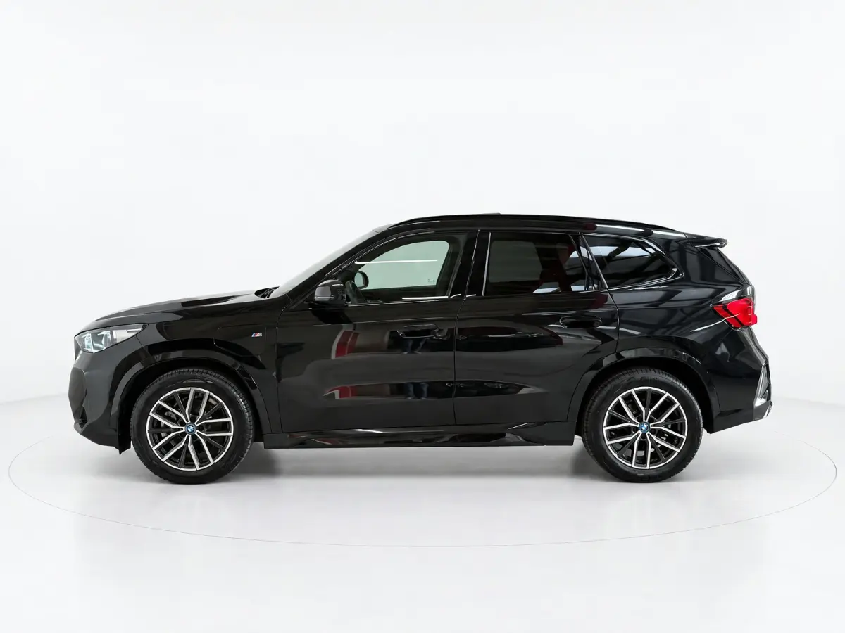 XDrive25e - Panorama - Trekhaak - Memory