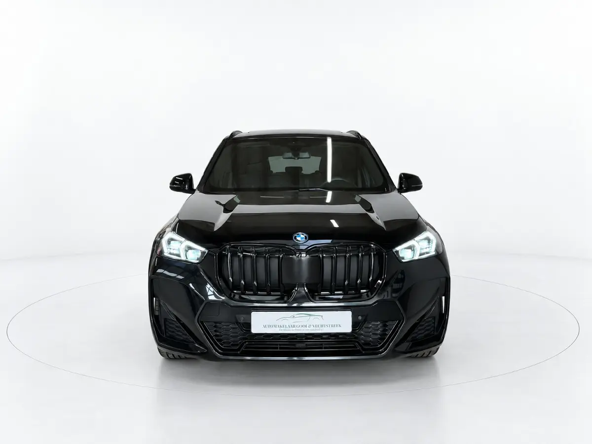 XDrive25e - Panorama - Trekhaak - Memory