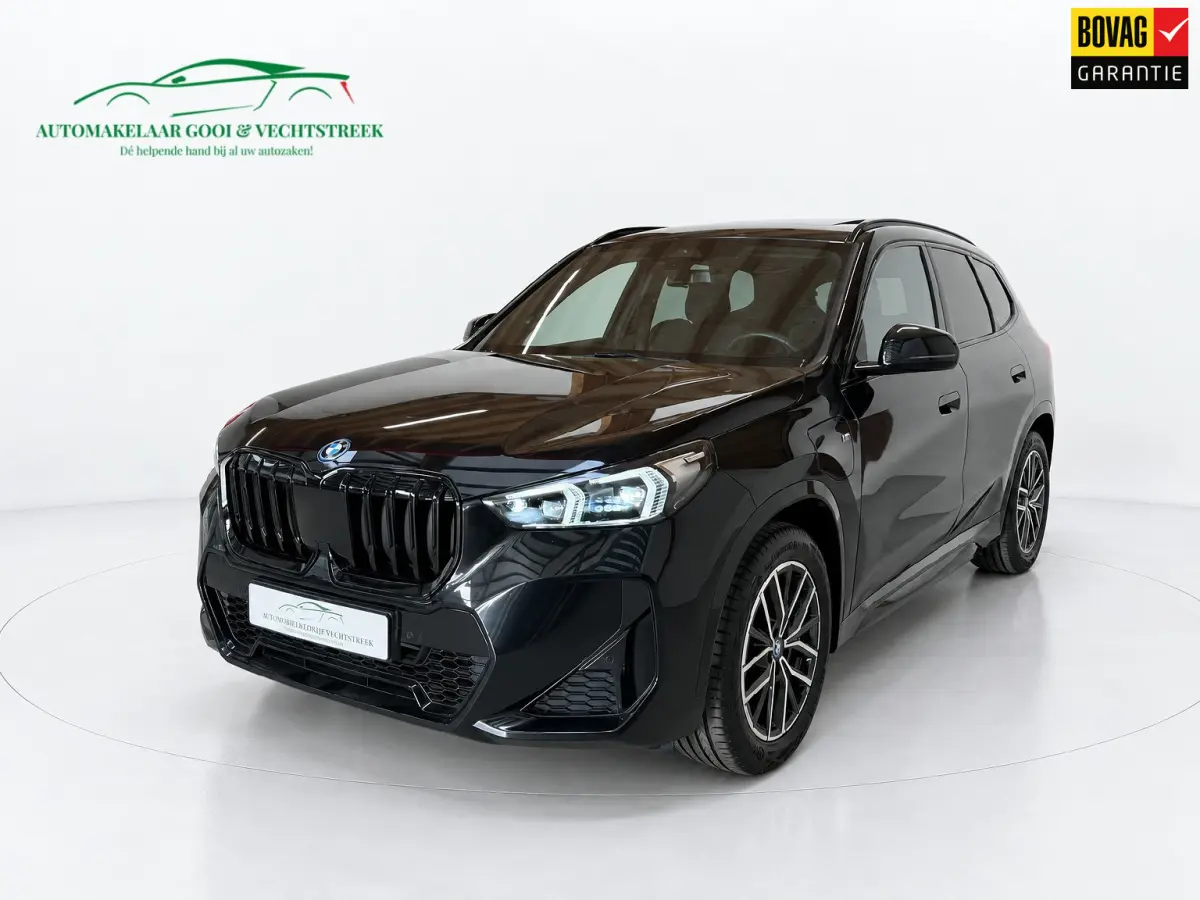 XDrive25e - Panorama - Trekhaak - Memory
