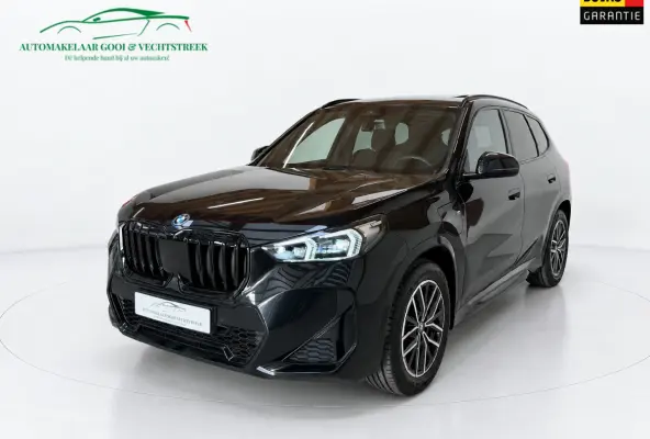 XDrive25e - Panorama - Trekhaak - Memory