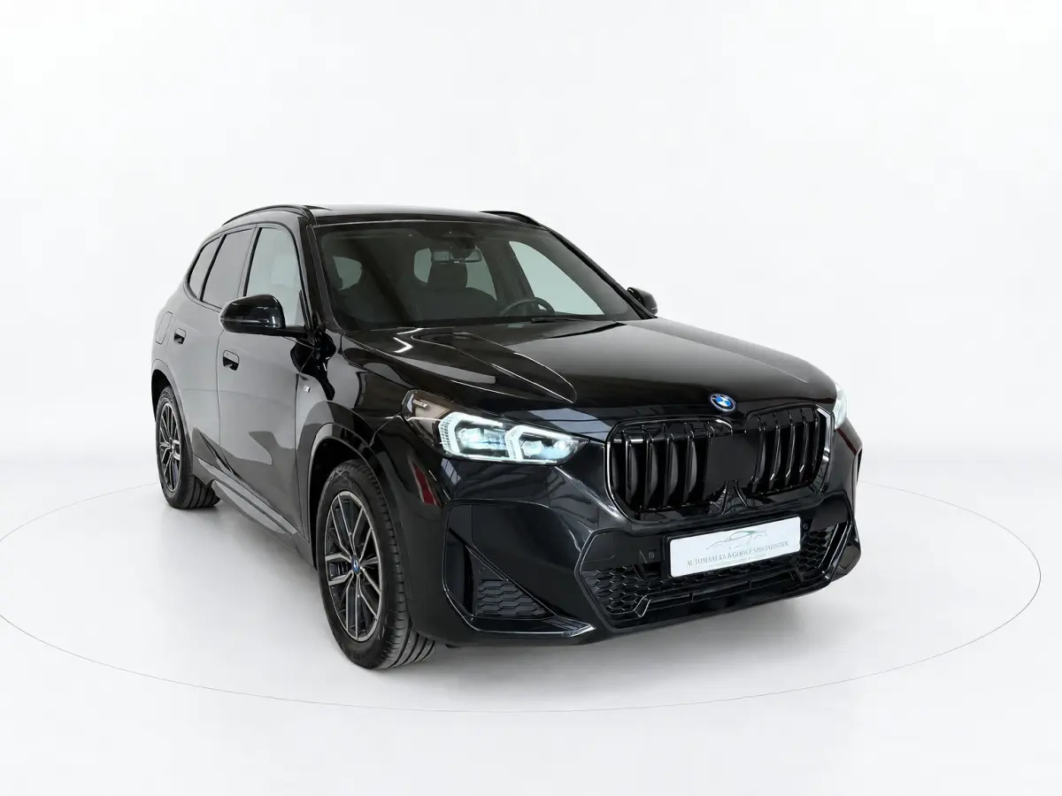 XDrive25e - Panorama - Trekhaak - Memory