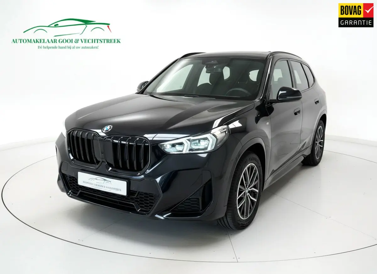 XDrive25e - Panorama - Trekhaak - Memory