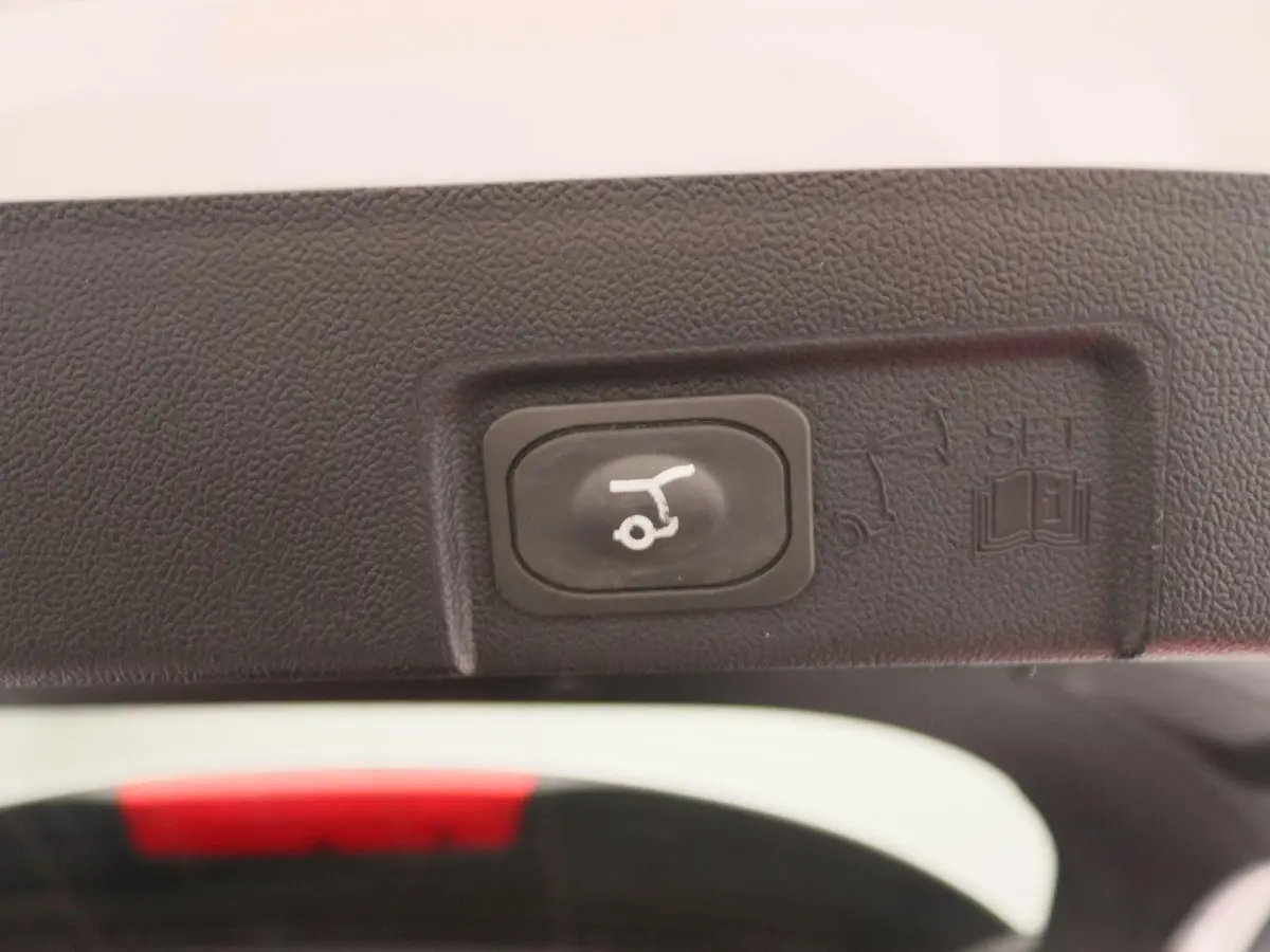 1.0 EcoBoost ST-Line X | Panoramadak | B&O Premium Audio | Apple Carplay/Android Auto | Achteruitrijcamera | Winter Pakket |