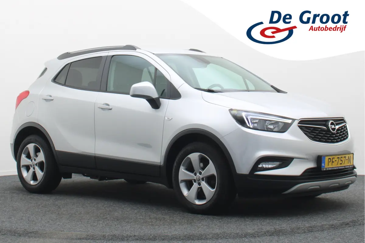 1.4 Turbo Business+ Apple Carplay, Cruise, Bluetooth, Climate, DAB, PDC, Trekhaak, 17''