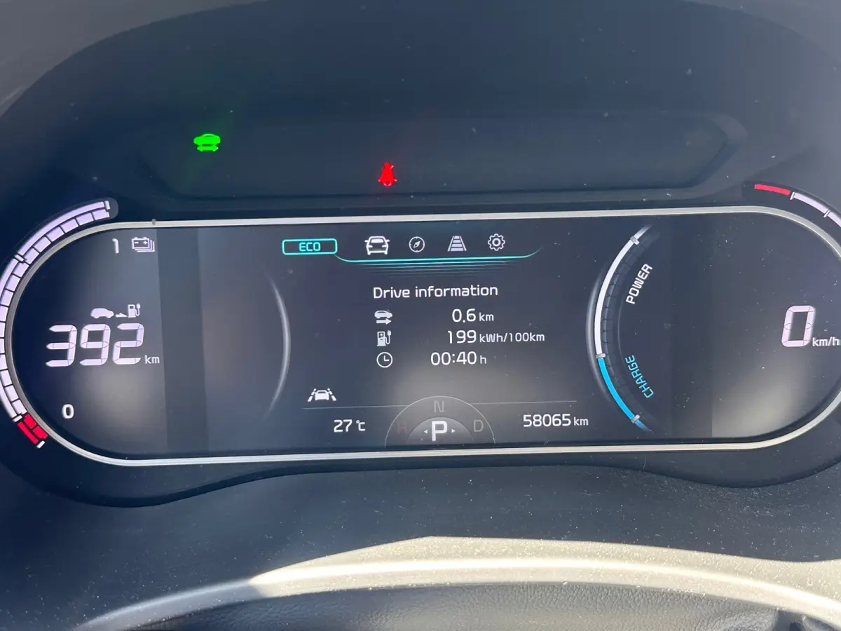 ExecutiveLine 64 kWh 1E EIG ORG NL TREKHAAK 100%SOH