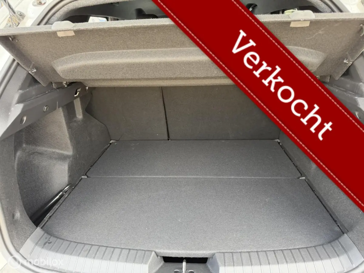 1.0 TCe 100 ECO-G Journey | Stoel en Stuurverw