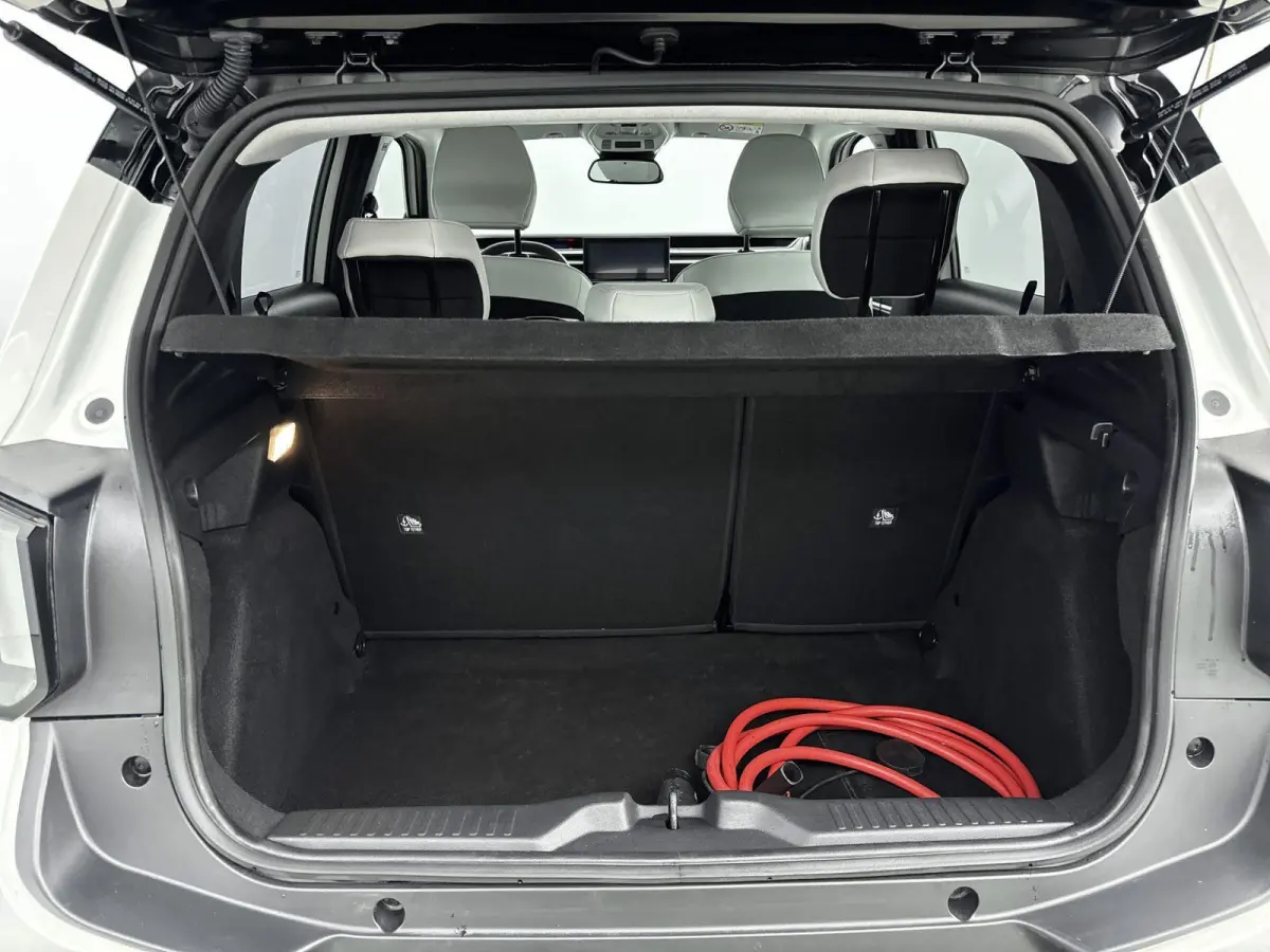 Max 113pk 44 kWh