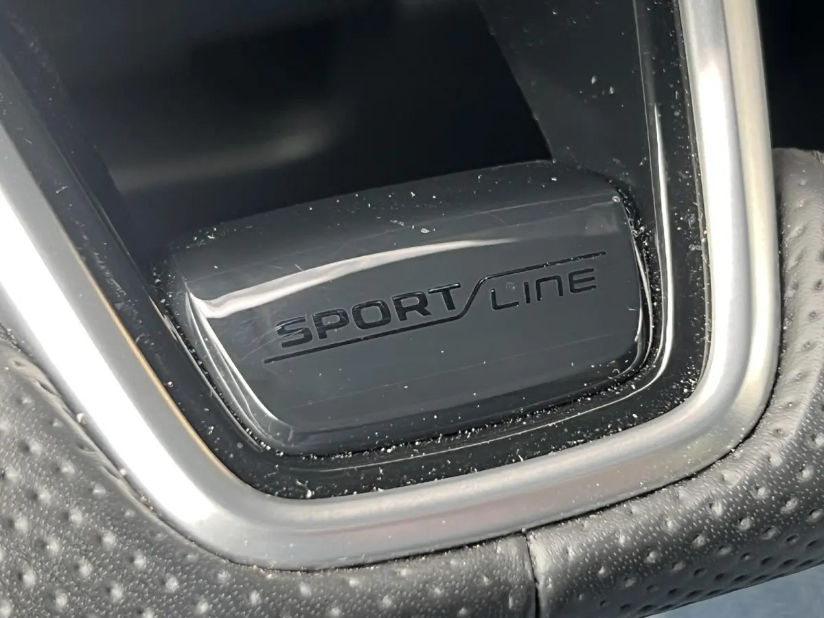1.5 TSI ACT Sportline Business Ultimate | Pano | Trekhaak wegklapbaar | Navi | LED Matrix | El.a.klep Vitrual Pedal