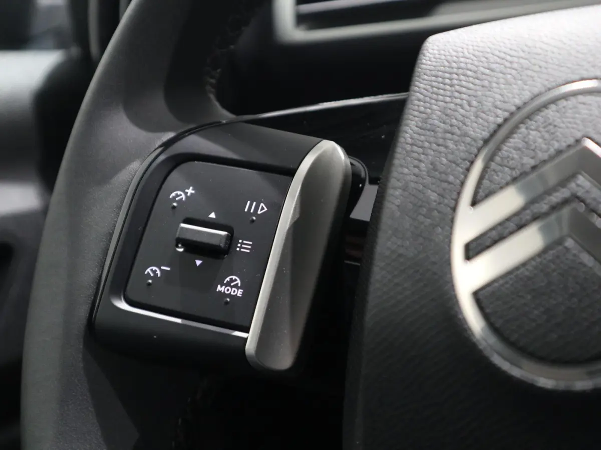 Max 113pk 44 kWh | CAMERA | APPLE CARPLAY | CRUISE CONTROL | UNIEKE KILOMETERSTAND!