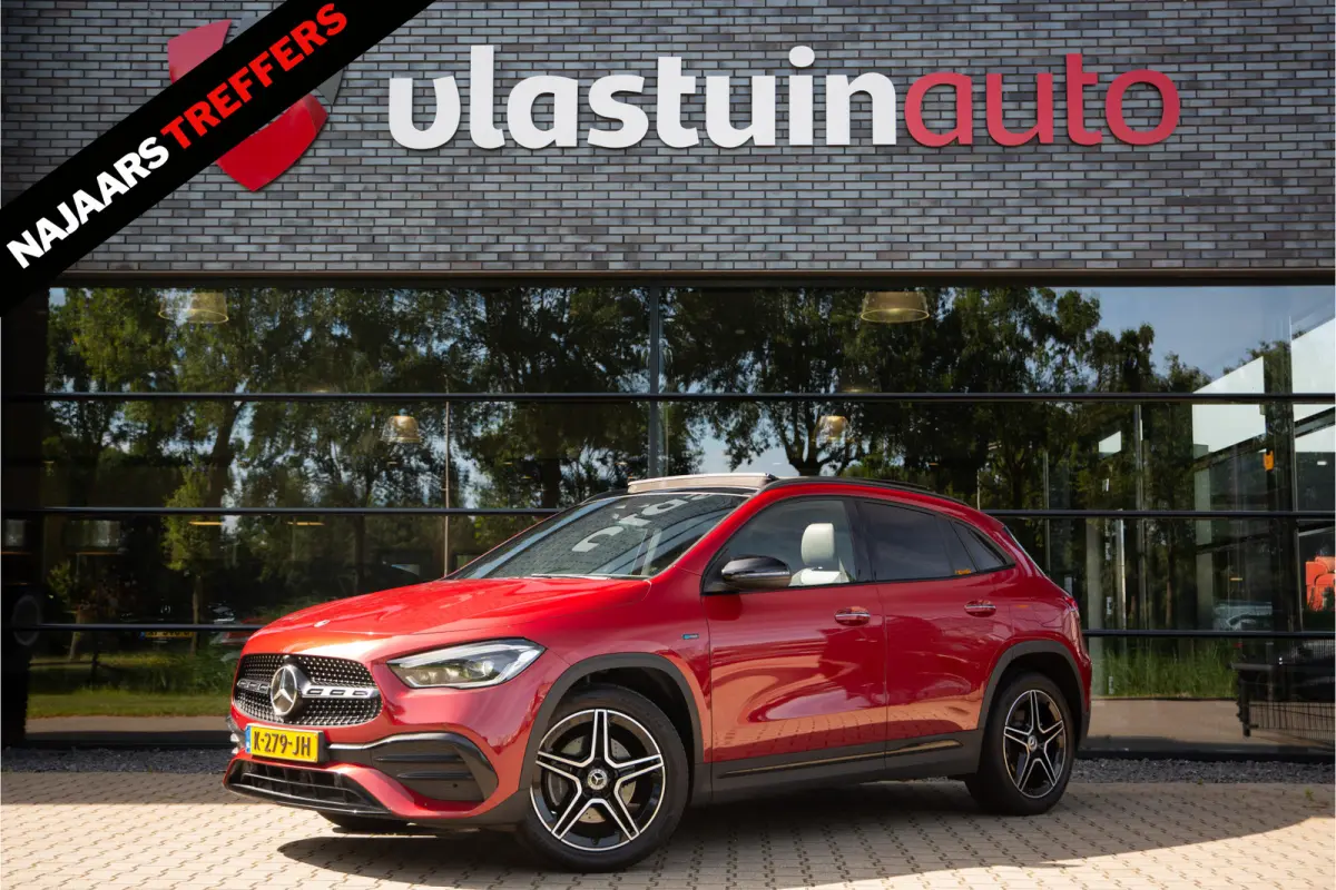 250 e Business Solution AMG Limited , Panoramadak, Trekhaak, Sfeerverlichting,