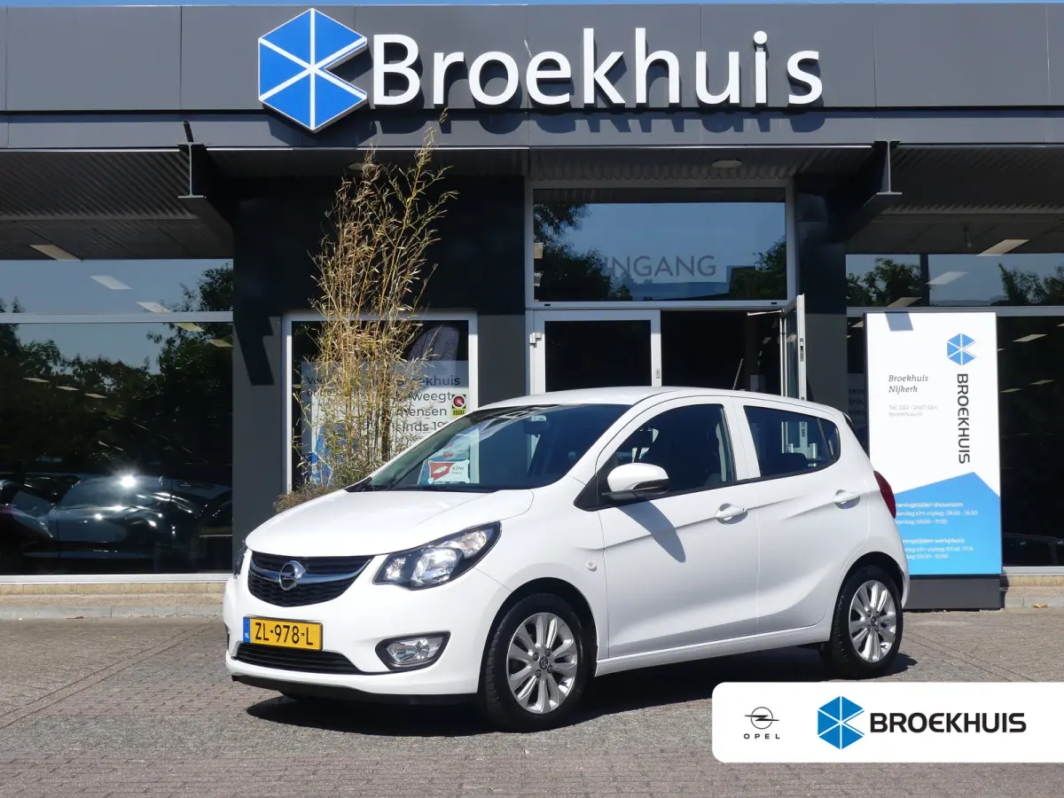 1.0 ecoFLEX 120 Jaar Edition | AIRCO | PARKEERSENSOREN | LMV 15" | CRUISE |