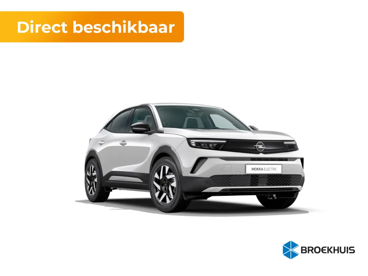 Business Edition - Electric | 17" Lichtmetalen velgen | Achteruitrijcamera | Adaptive Cruise control