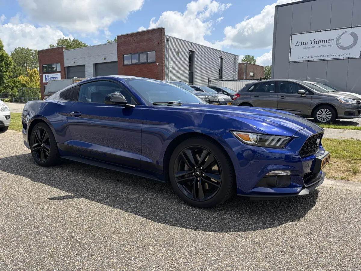 2.3 EcoBoost NAP